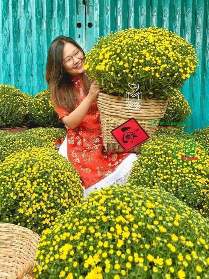 Cần Xé Tre Trang Trí